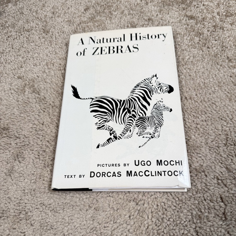 A Natural History of Zebras Dorcas MacClintock Hardcover VTG 1976 Ugo Mochi HB